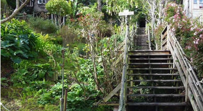 Charles Fracchia Remembers The Filbert Steps